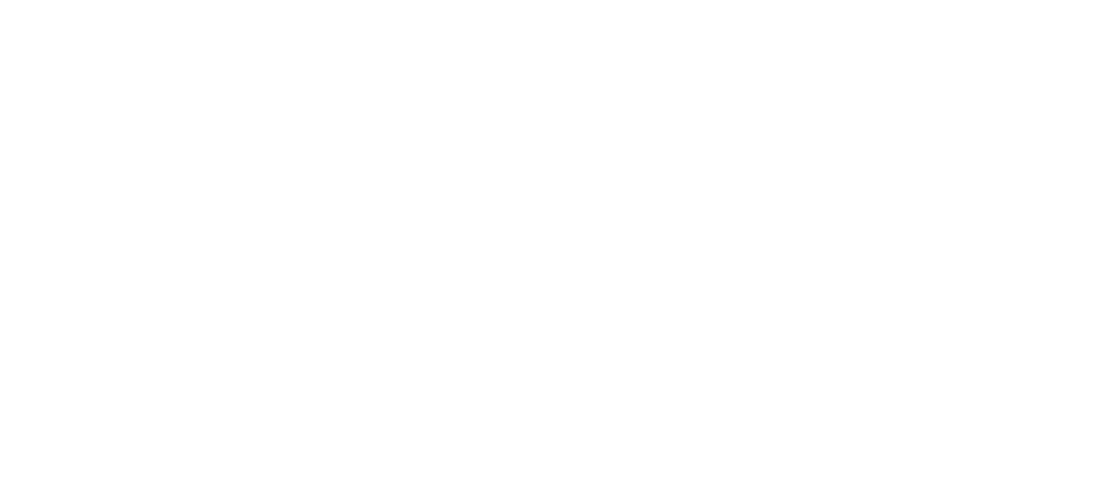AYK Logo white